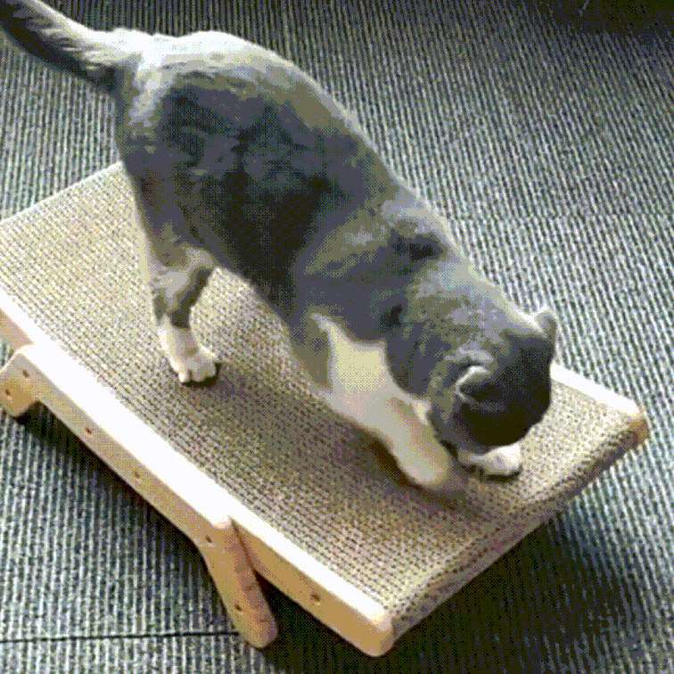Purrfect cat lounger